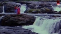 Oru Theithi Paarthal... Tamil Movie Songs - Coimbatore Mappillai [HD]