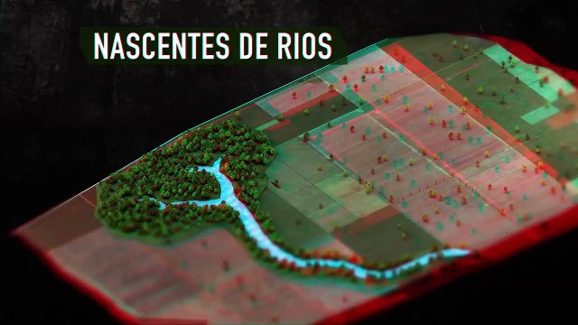 A Lei da Água - Novo Código Florestal . Os dois lados da moeda. Triste realidade da total inoperância e desrespeito e nossos políticos para com o meio ambiente, em prol de interesses próprios.