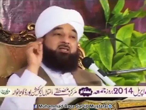 QURAN Me Kutty Ka Zikr Q Kiya Gya ???? Allama Moulana Muhammad Raza SaQib Mustafai