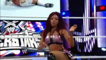 Layla vs. Alicia Fox WWE Superstars, July 26, 2013