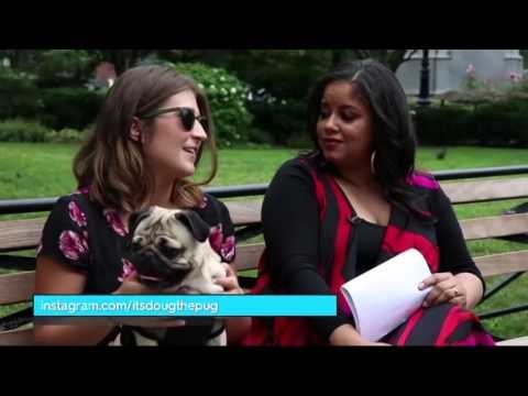 TV3 - Generació Digital - Doug the Pug, el gos més famós a la xarxa