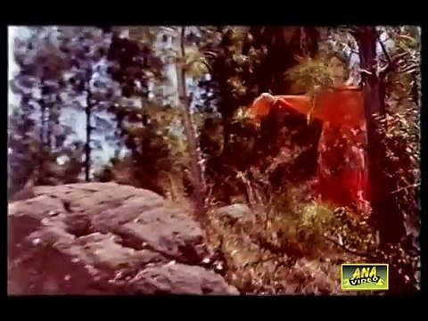 MEHDI HASSAN - TU MERE PYAR KA GEET - AWAZ