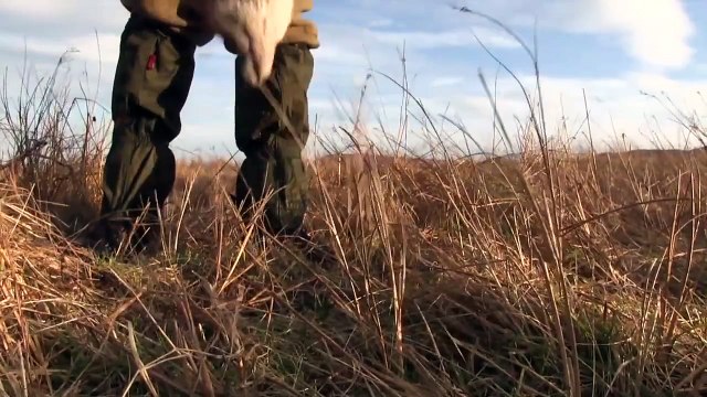 The Shooting Show Foxing on Skye and South African blesbok and ostrich