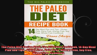 The Paleo Diet Recipe Book The BIG Paleo Cookbook 14Day Meal Plan and Tips  Gluten Free