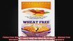 Paleo Free Diet Wheat Free Diet Paleo Cookbook  Gluten Free Recipes  Wheat Free