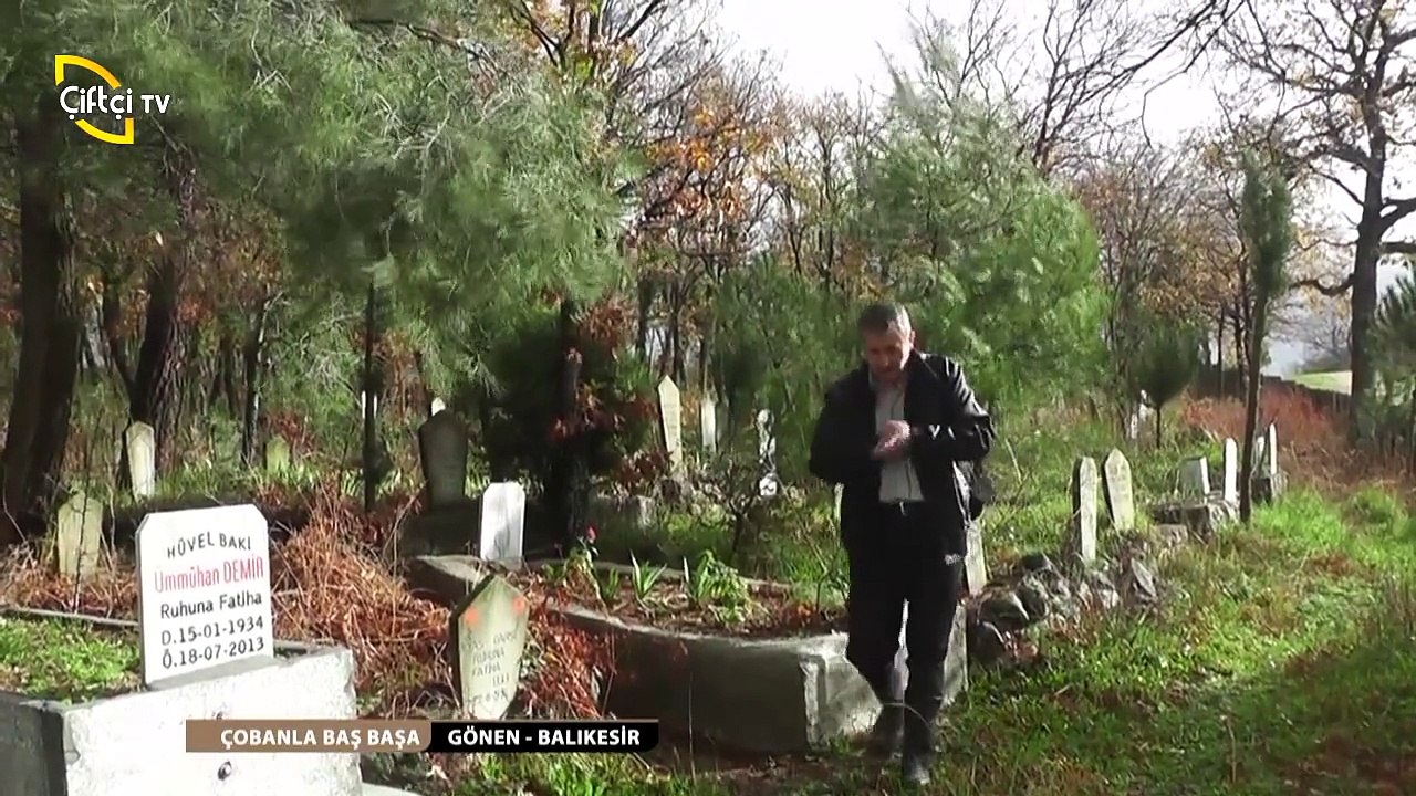 ÇOBANLA BAŞ BAŞA - 26. Alaşar Veli Çiftçi GÖNEN-BALIKESİR-KOYUN ÇOBANI