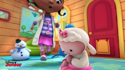 The Glider Brothers | Doc McStuffins | Disney Junior UK