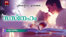 ചൂളം കുത്തും.....Malayalam Album Songs Love | Sneham | New Album Songs Malayalam Audio Jukebox