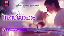 കളഭത്തിൽ.....Malayalam Album Songs Love | Sneham | New Album Songs Malayalam Audio Jukebox