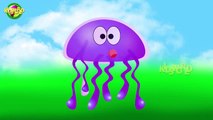 Jelly Fish Cartoon Finger Family Nursery Finger Family Rhymes | Kids World Finger Family R