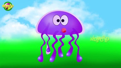 Jelly Fish Cartoon Finger Family Nursery Finger Family Rhymes | Kids World Finger Family R
