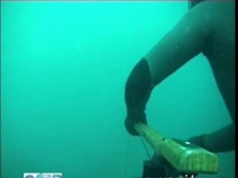 Compil chasse sous marine loups