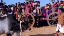 Tamil Movies - Enga Ooru Pattukaran - Part -9 [Ramarajan,Rekha,Shantipriya] [HD]