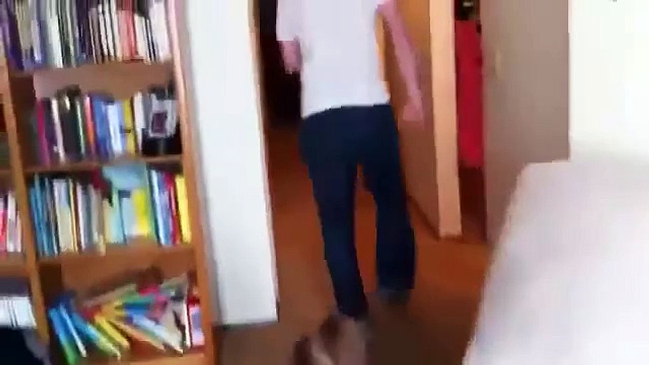 ребенок увидел папу без бороды