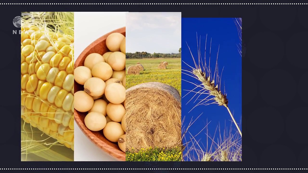 Why Americans Don’t Eat Enough Vegetables