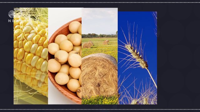 Why Americans Don’t Eat Enough Vegetables