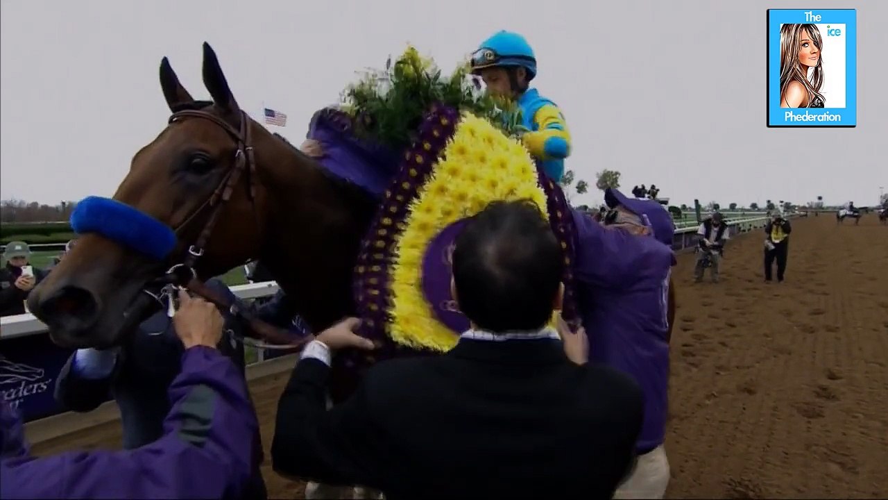 American Pharoahs Final Race at the Breeders Cup Classic | LIVE 10-31-15