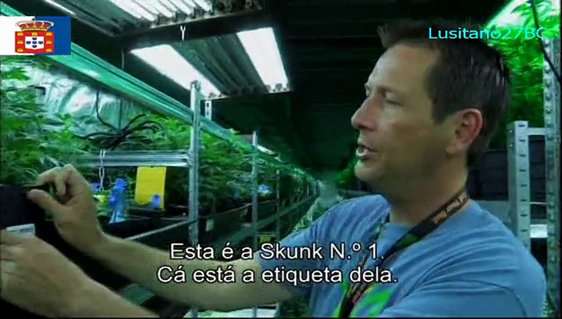 Estados Unidos da Marijuana