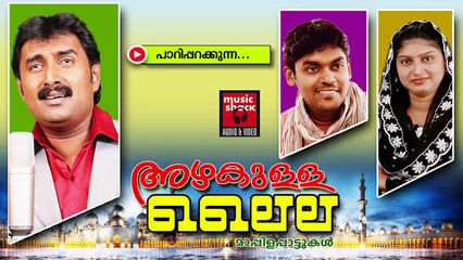 പാറി പറക്കുന്ന.....Malayalam Mappila Album Songs New 2015 | Azhakulla Laila | Mappila Pattukal