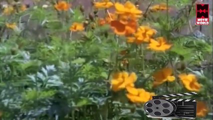 Priyadarshini Varoo... - Song From - Malayalam Movie Swarangal Swapnagal [HD]