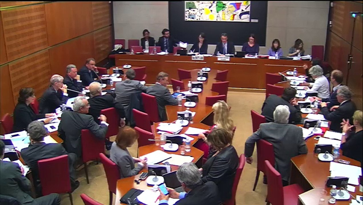 15.10.28audition en commission de la présidente de france télévision
