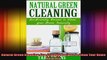 Natural Green Cleaning EcoFriendly Recipes to Clean Your Home Naturally