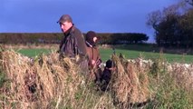The Shooting Show – goose shooting with the experts
