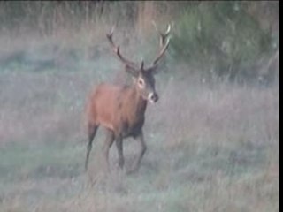 Rencontres 4eme tête