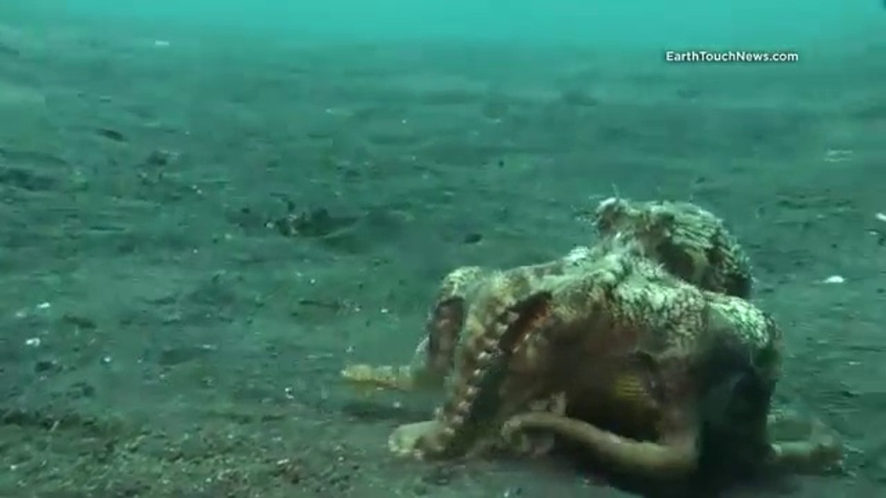 Never in a million years would I have thought this to happen!