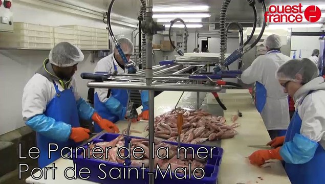 Saint-Malo. Des emplois dans le Panier de la mer