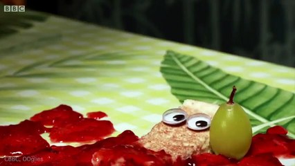CBBC cartoon OOglies shows toast soldier beheading boiled egg