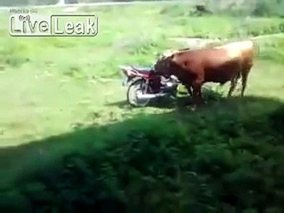 bik VS bike