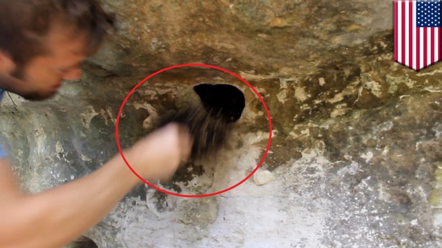 Man puts his hand into a hole and grabs a fist full of daddy longlegs spiders