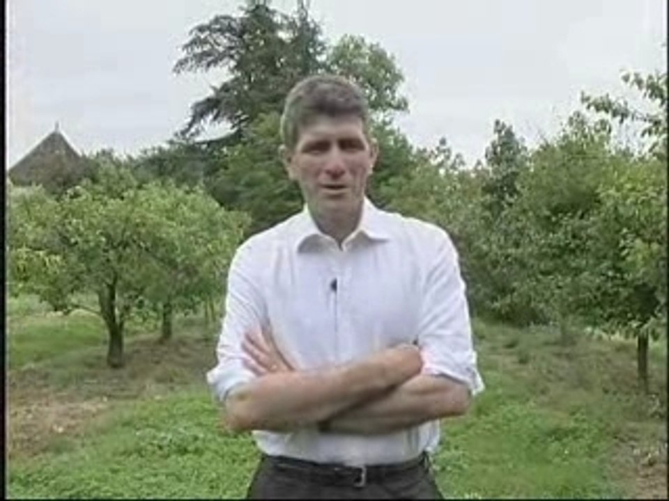 Jean Dionis - Je l'ai dit, je l'ai fait