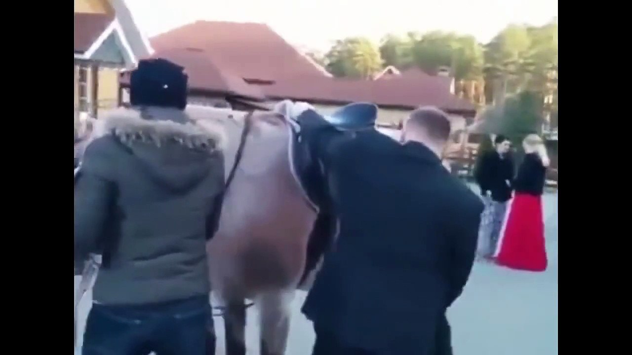 Super Funny Video: We Love Russia 2015  (  2  )