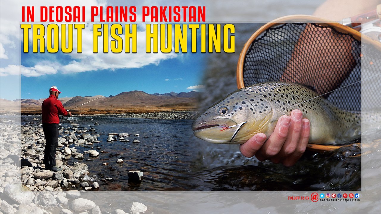 Trout Fish Hunting In Deosai Plains Pakistan video Dailymotion