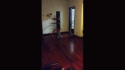 Wing Chun Wooden Dummy