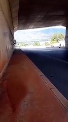 Z800 Top Speed