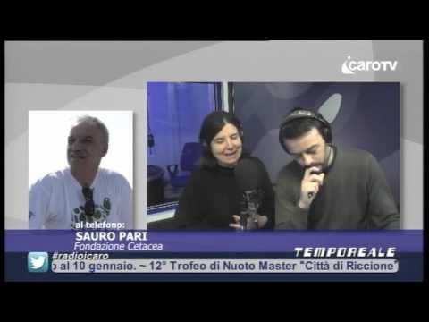 Icaro Tv. A Tempo Reale, Sauro Pari della Fondazione Cetacea: resta alta l'allerta tartarughe