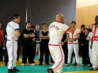 Shou-bo Shuai-Jiao Masterclass 2015