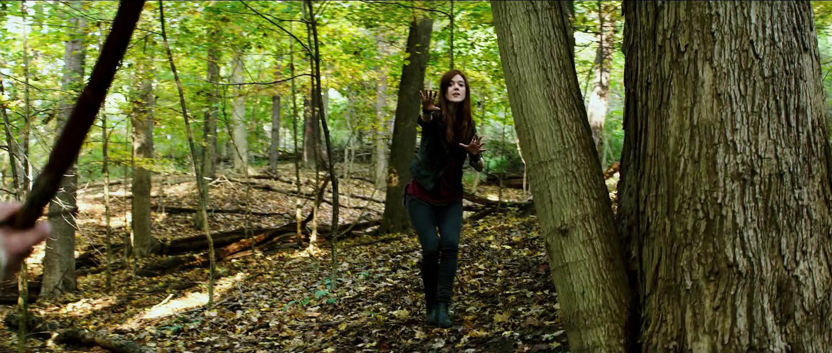 The Last Witch Hunter | 2015