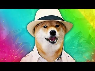 LE BLED'ART-FILS DE CHIEN ! - Rainbow Six Siege