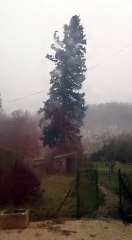 Coup de vent sur la Dordogne le 11 janvier 2016