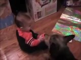 Dog loves his small human: dogs are family