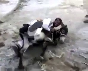 Funny Pathan Vs Donkey