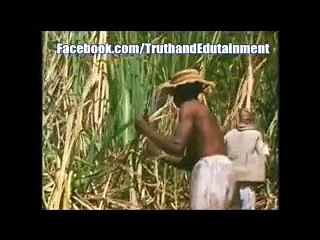 Black Americans Are P.O.W.'s Of White People !