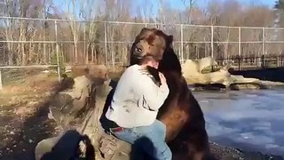 Man plays with friendly big bear