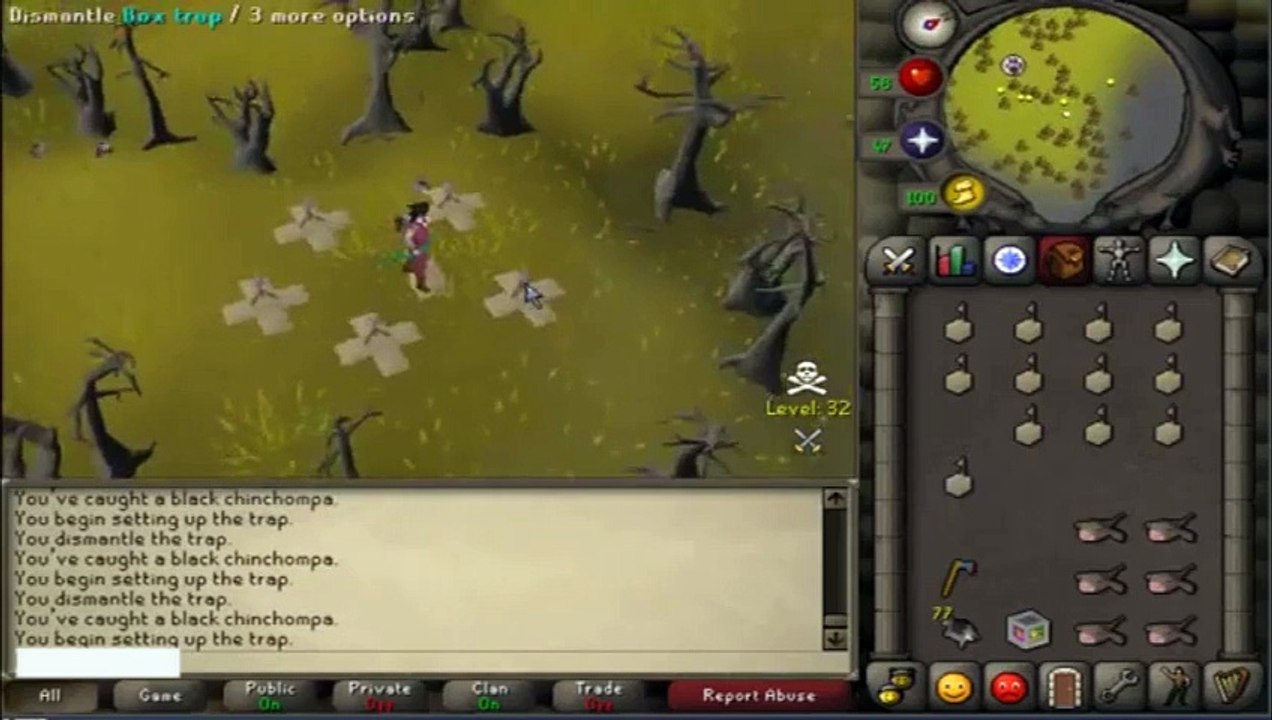 Runescape 2 - Black Chinchompas