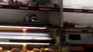 Criminal Raccoon Easily Steals Doughnuts