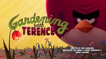 Angry Birds Toons episodio 13 adelanto y donde ver completo Gardening with Terence
